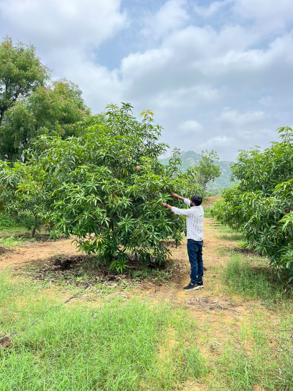 Co-Founder at Somnath Krishi Farm